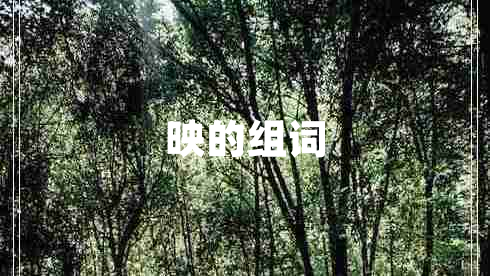 映的組詞