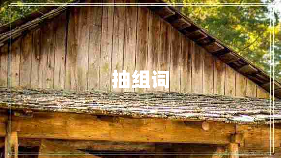 抽組詞