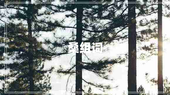 桑組詞