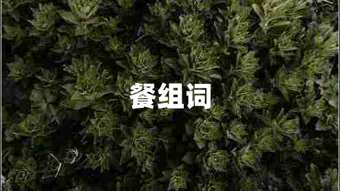 餐組詞