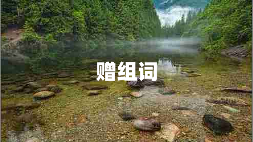 贈組詞