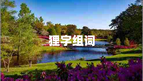 貍字組詞