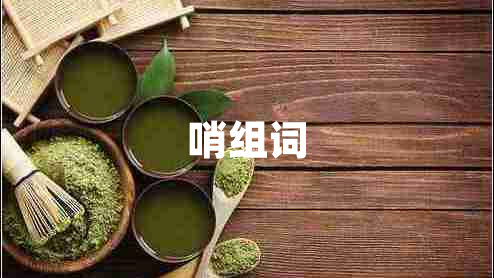 哨組詞
