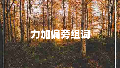 力加偏旁組詞