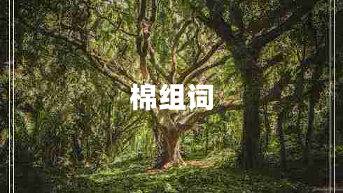 棉組詞