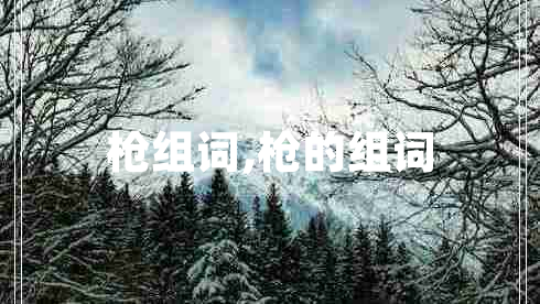 槍組詞,槍的組詞