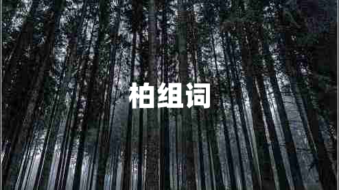 柏組詞