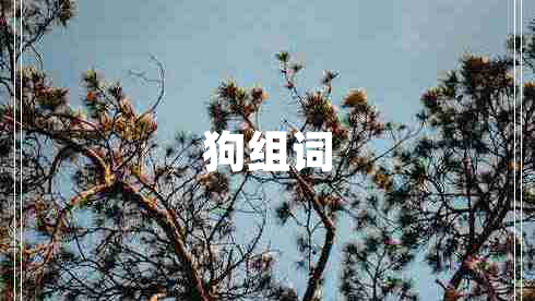 狗組詞