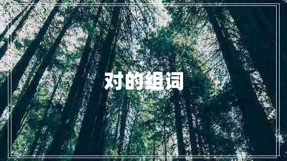 對的組詞