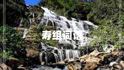 壽組詞語(yǔ)