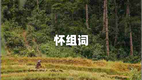 懷組詞