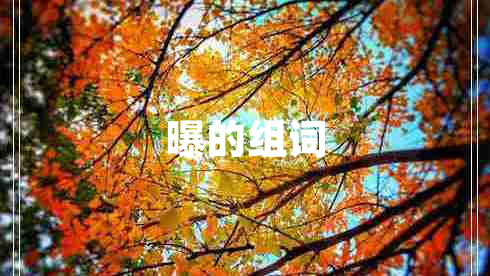 曝的組詞