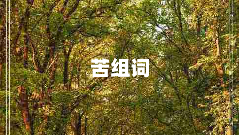苦組詞