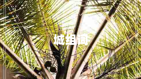 城組詞