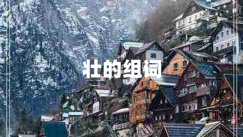 壯的組詞