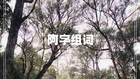 阿字組詞