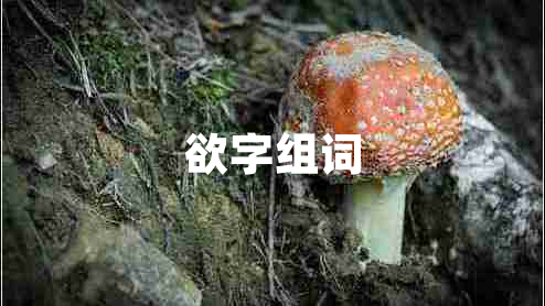 欲字組詞