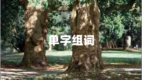 單字組詞