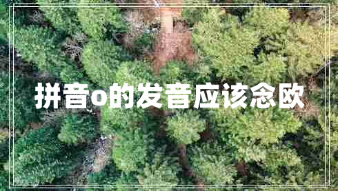 拼音o的發(fā)音應該念歐