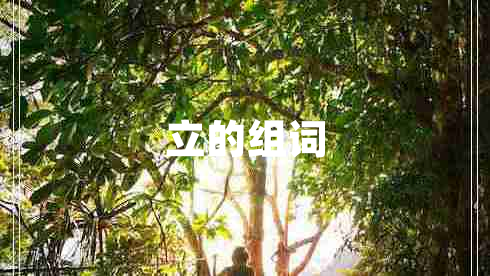 立的組詞