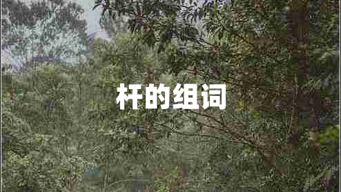 桿的組詞