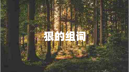 狠的組詞