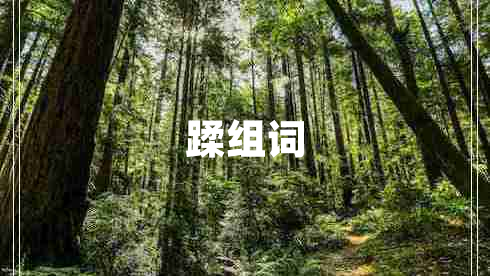 蹂組詞