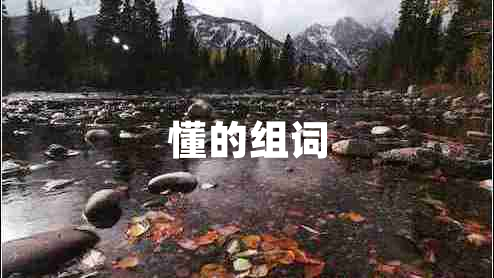 懂的組詞