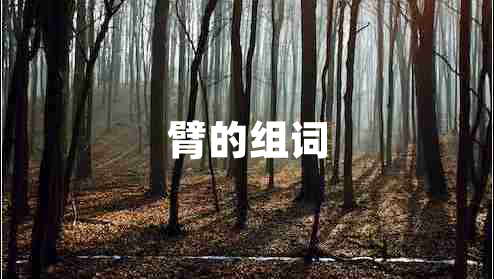 臂的組詞