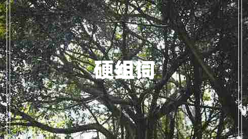 硬組詞