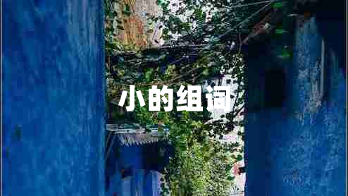 小的組詞