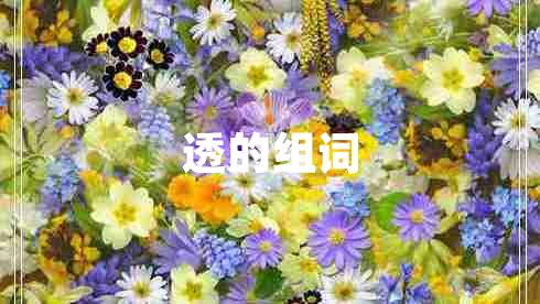 透的組詞