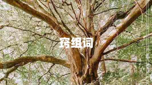 竅組詞