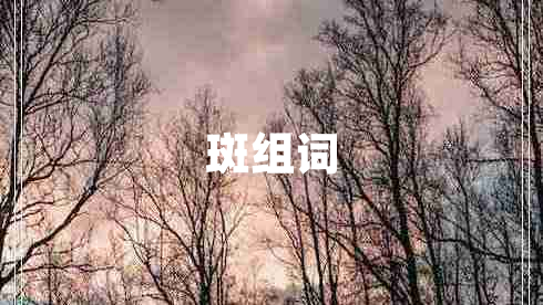 斑組詞