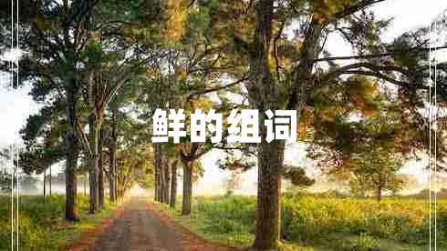 鮮的組詞
