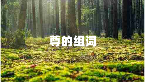 尊的組詞