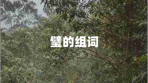 璧的組詞