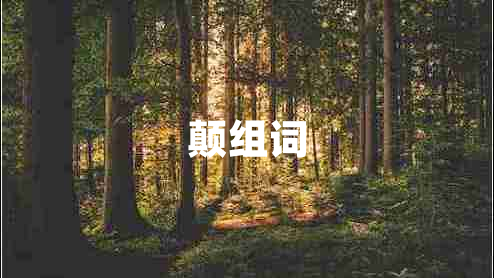顛組詞