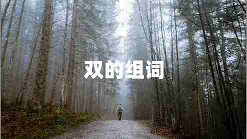 雙的組詞