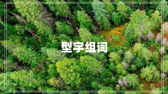 型字組詞