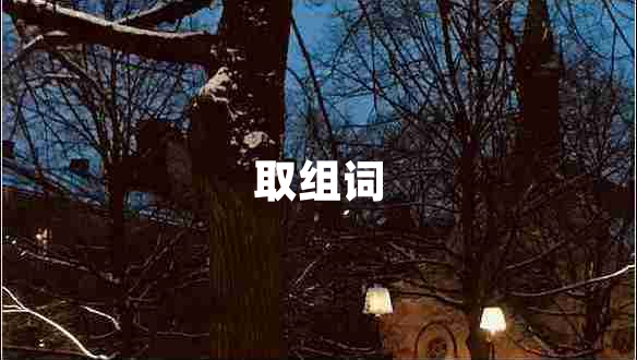 取組詞