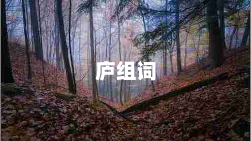 廬組詞