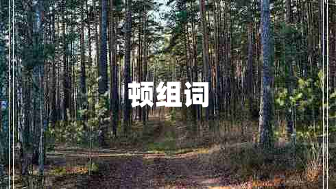 頓組詞