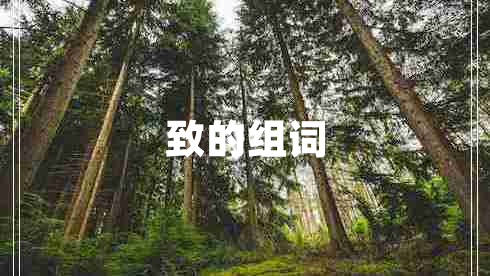 致的組詞