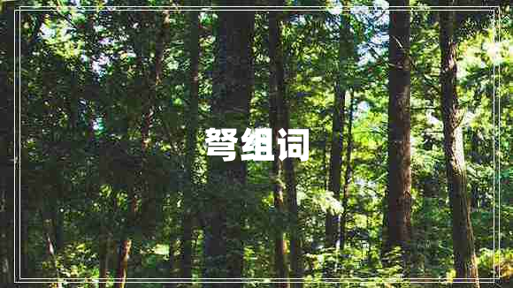 弩組詞