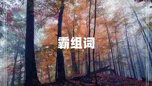 霸組詞