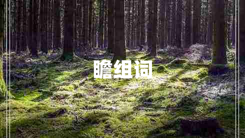 瞻組詞