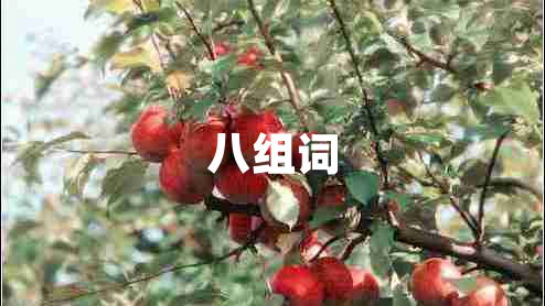 八組詞