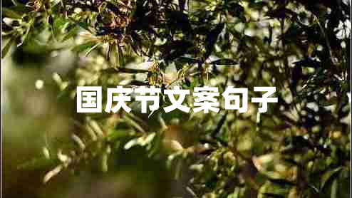 國慶節文案句子