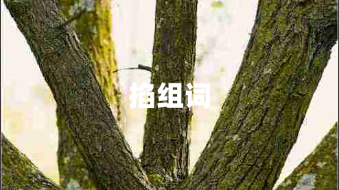 掐組詞